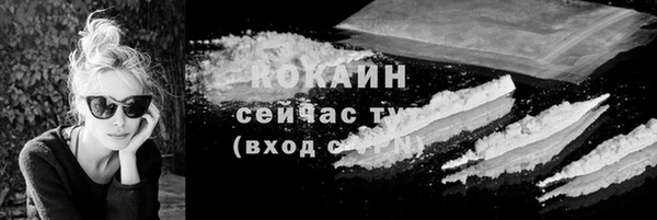 крисы Ростов