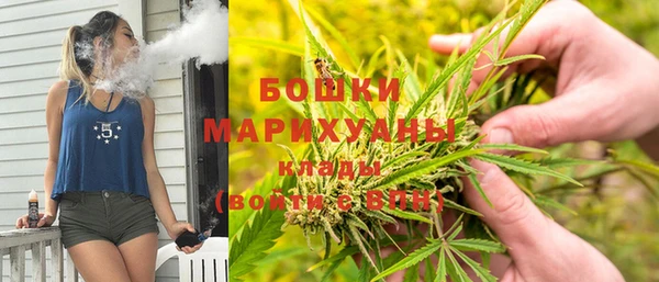 apvp Алексин