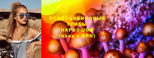 apvp Алексин